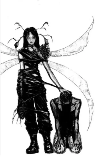 Yoshihiro Togashi Level E